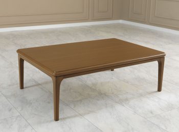 שולחן לסלון דגם ריטמנס